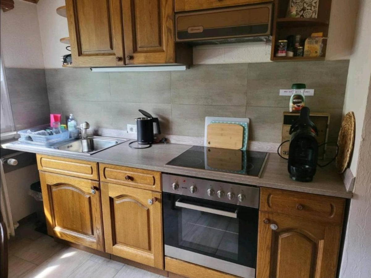 Ela Vital Ferienwohnung St. Blasien Ngoại thất bức ảnh