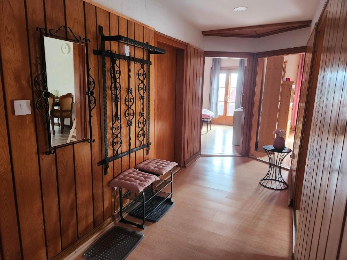 Ela Vital Ferienwohnung St. Blasien Ngoại thất bức ảnh